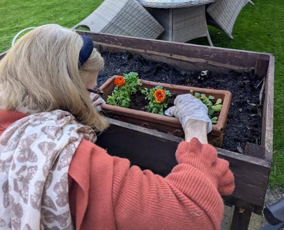 wheelchair user at the home doing some gardening