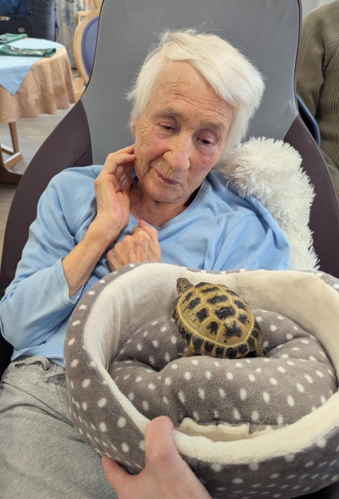 resident with the tortoise 
