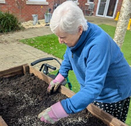 ann gardening