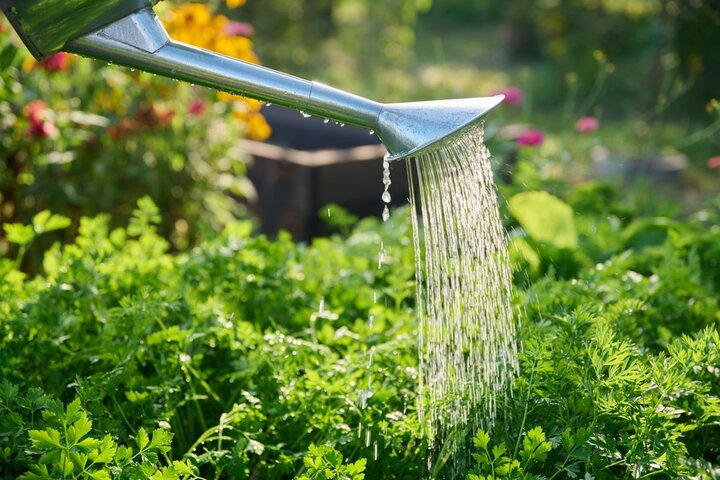 water can