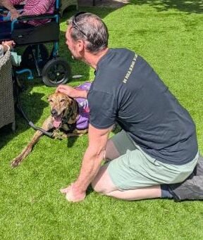 syd therapy dog